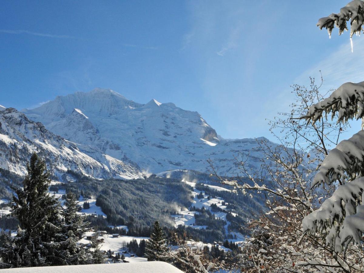 Apartment Roossihuus By Interhome Wengen Exterior foto